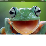 Something frog