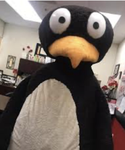 Jiji from ST math cult