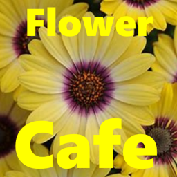 Flowers Official Group | Cafe