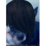 EMODOG’S GROUP
