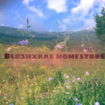 Blush Rae’s home store