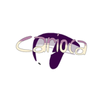 [ Carioca Designs ]