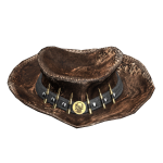 Brown Cowboy Hat