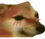 sad hamster
