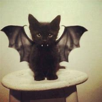 affliction clothes <3
