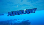 Bluelightteam