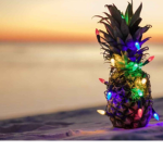 Pineapple group they can do anything
