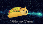 :v DOGE