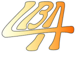 Litty Blox Army