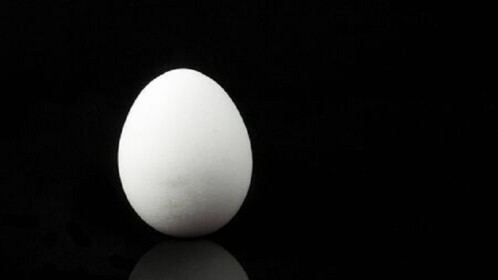 Egg