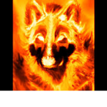 FIRE WOLVES (kia wolfs group)