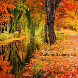 Autumn Experience[BETA]