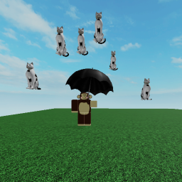 Raining Cats