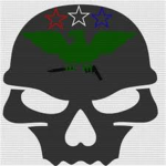 American Assault Foces