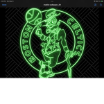 CELTICS FOR LIFE