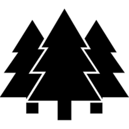Black Forest Survival