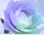 !Rose's UGC Clothing Store!
