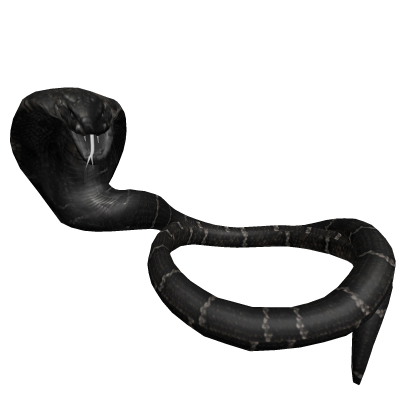 Black cobra snake wrapped around neck Roblox item
