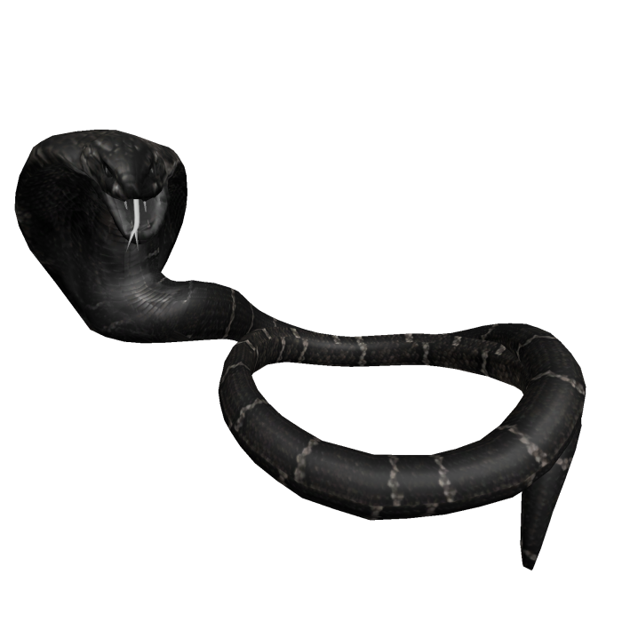 Black cobra snake wrapped around neck