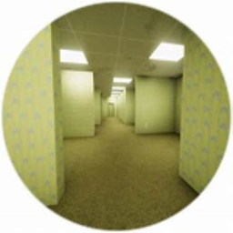 THE BACKROOMS O_O