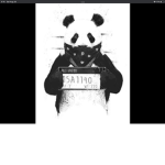 Panda_bandit