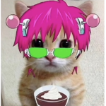 The StacyTheKitten Squad