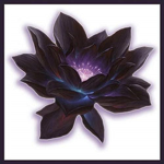 - The Black Lotus -