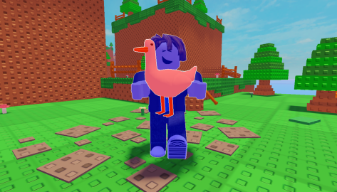 Carry Duck [2 Player Obby]