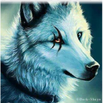 Crystal wolf water