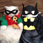 ninja bat STUDIOS