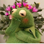 kermit qt <3