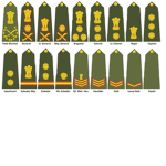 The Rank