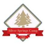 Silver Springs Camp Community Hub