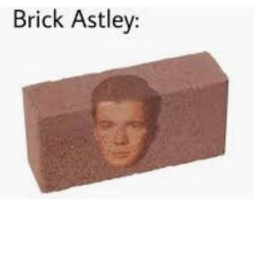 bricks