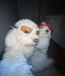 HI HII HIII