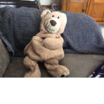 Teddy weddy