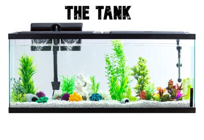 The Tank