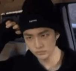 Sarii straykids