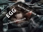 burrito cat group!