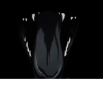 DevilsTears