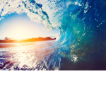 ( • ocean • )
