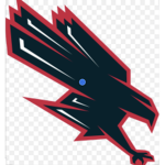 The only flying falcons