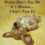 Monday,Morning,Mystery