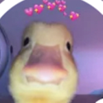 Katieyuh besties get here Rn or no rbx lol