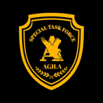 PACTF︱Presidential Аnti-Crime Task Force