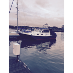 Build A Boat To Find Treasure Fan Club