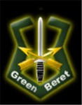 Green Beret Stealth Bombers