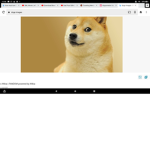 Doge managerss