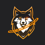 Cool Fox TEAM