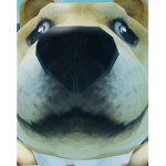 THE DOGE REPUBLIC STRIKES BACK